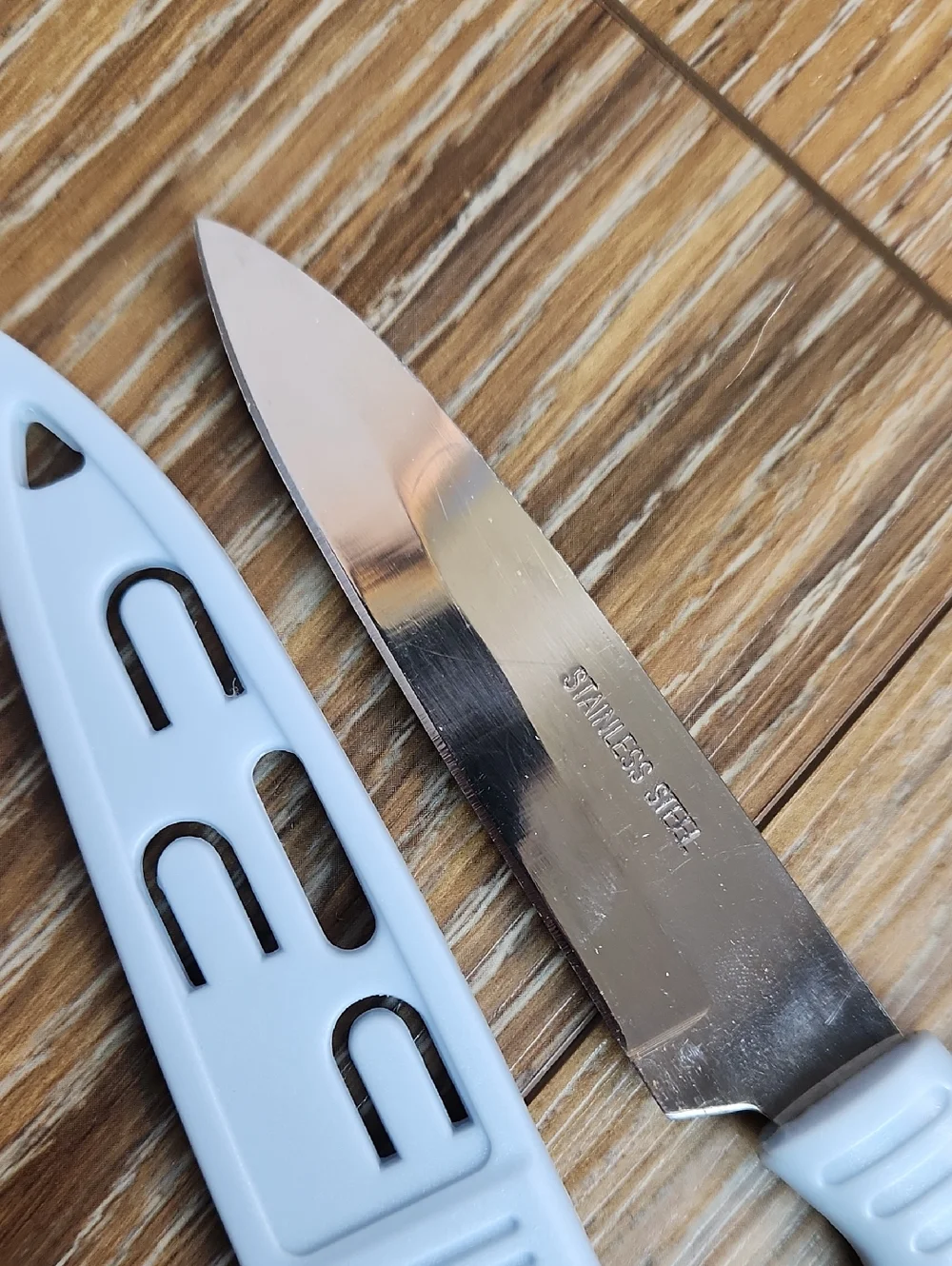 Stainless Steel Knife Blue Plastic Handle & Sheath